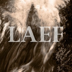 LAEF