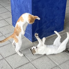 한30