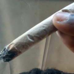 jay
