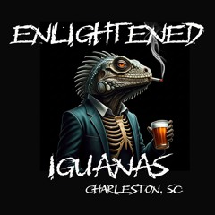Enlightened Iguanas