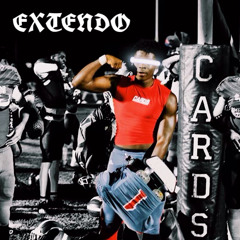 tezzoextendo