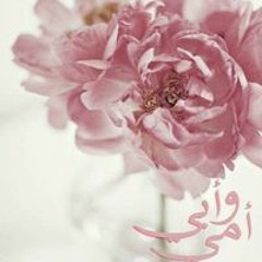 Shimaa Hasanein