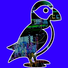 PuffinPulse - Live at Nodding Along, Whitechapel, London 2025