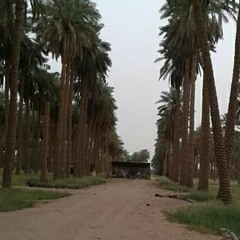 esmail