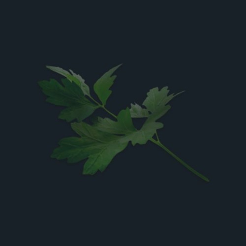 SoundCloud profile picture for @parsley