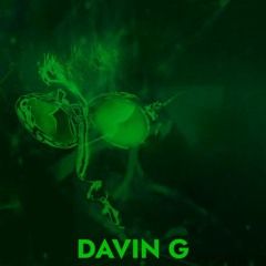Davin G