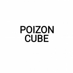 Poizon Cube