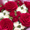 Sonia Elsharkawy