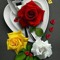 Mrs. Adnan