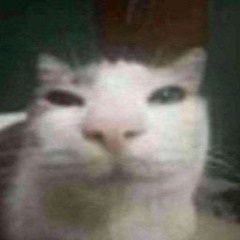 jenk