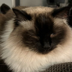 linnea