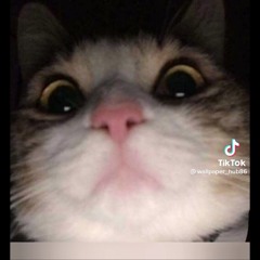 User 556951616