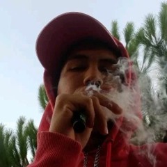 DJ GUI MARTINS - CANAL SECUNDARIO