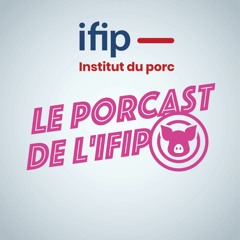 PorCast by ifip