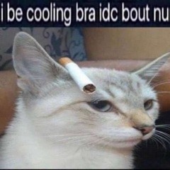 yungshartbox