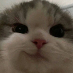 옝뿌
