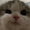 옝뿌