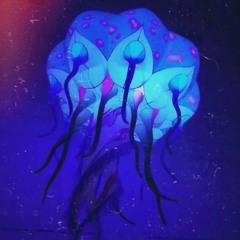 Lanikins