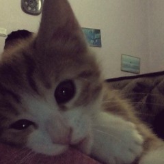 babiiauan . . .