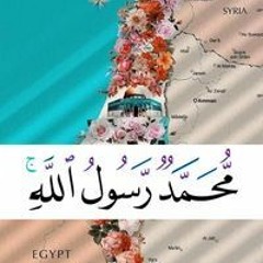 آيات امين