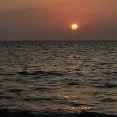 IrinaX