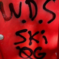 Ski WDS OG