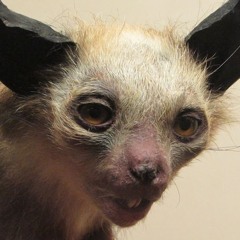 .::..::.elmaslargo.::..::.