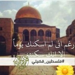 إشراق النجار