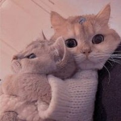 Nguyễn Trung Kiên