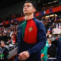 Ahmed M Abdelshafy