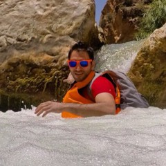 Hugo Hedayati