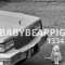 babybearpig