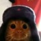 kartoshka229