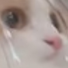 Påñdå $tûff