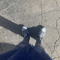 Xy_ien