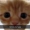 catlucifur