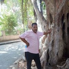 مصطفي محمد نجيب