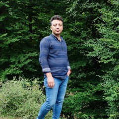 Mohamad Hosein Shahidi