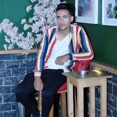 Amir Ayman