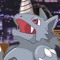 RHINOS KING