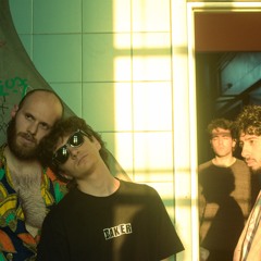 Le Schiene Di Schiele