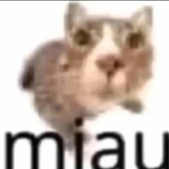 Fais