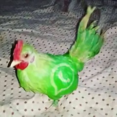 шипстик