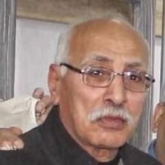 Magdy Naroz