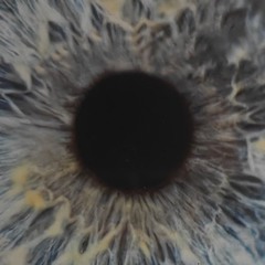 мАффиН из пАЛьмы лол