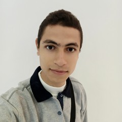 Abdelrhman Elshafei