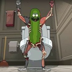 PickleRick93