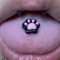 bearpawsss