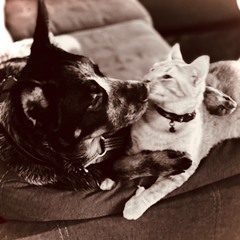 Take Me Away (Remastered)