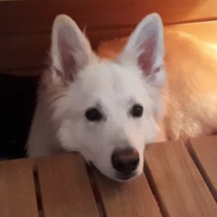 Svenw